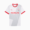 Danish Handball Federation 2025 Away Jersey Men, PUMA White-Cool Light Gray, small