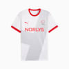 Danish Handball Federation 24/25 Away Jersey Men, PUMA White-Cool Light Gray, small