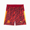 Olympique de Marseille 25/26 Torwartshorts Herren, Dark Crimson-Sunny Yellow-Dark Poppy, small