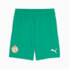 Senegal 2025 Shorts Men, Sport Green-PUMA White, small