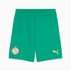 Senegal 2025 Shorts Men, Sport Green-Electric Lime, small