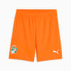Ivory Coast 2025 Shorts Men, Rickie Orange-Jade Frost, small