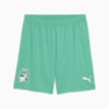 Ivory Coast 2025 Shorts Men, Jade Frost-PUMA White, small