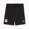 Egypt 2025 Shorts Men, PUMA Black-PUMA White, small