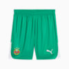 Short de football SK Rapid Wien Homme, Sport Green-PUMA White, small