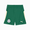 KIDSUPER SEP Shorts Replica Men, Vine-Alpine Snow, small