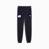 Olympique de Marseille FtblCulture Sweatpants Men, New Navy-PUMA White, small