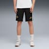 FC Red Bull Salzburg KING Sweat Shorts Men, PUMA Black-Matte Puma Gold, small