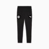 Manchester City Training Pants Men, PUMA Black-PUMA Silver, small