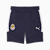 CD Guadalajara EVOSTRIPE Shorts Men, PUMA Navy-PUMA White, small