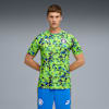Pro Green-Hyperlink Blue