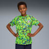 Pro Green-Hyperlink Blue
