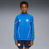 Hyperlink Blue-Pro Green