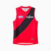 Essendon Football Club 2025 Youth Replica Away Guernsey, Puma Black-PUMA Red-EFC, small-AUS