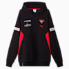 Essendon Football Club 2025 Men's Team Hoodie, PUMA Black-PUMA Red-EFC, small-AUS