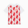 Girona FC Pre-match Short Sleeve Jersey Youth, PUMA White-PUMA Red, small