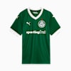 Palmeiras Torcedor Home Jersey 25 Men, Power Green, small