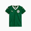 Palmeiras Torcedor HJsy Youth, Power Green, small