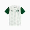 Palmeiras Torcedor Jersey Youth, PUMA White, small