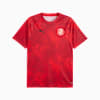 Girona FC Aufwärmtrikot Herren, PUMA Red-PUMA Black, small