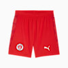 FC St. Pauli 25/26 Shorts Men, Burnt Red-PUMA White, small