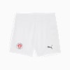 FC St. Pauli 25/26 Shorts Youth, PUMA White-Espresso Brown, small