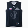 Carlton Football Club 2025 Replica Throwback Guernsey - Youth 8-16 years, Dark Navy-CFC, small-AUS