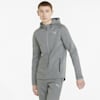 Evostripe Full-Zip Men's Hoodie, Medium Gray Heather, small-NZL
