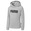 Essentials Full-Length Girls Hoodie, Light Gray Heather, small-AUS
