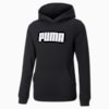 Essentials Full-Length Girls Hoodie, Puma Black, small-AUS