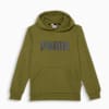 Essentials Boys Hoodie, Olive Green, small-NZL
