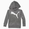 Classics Cat Logo Little Kids' Hoodie, CHARCOAL HEATHER, small