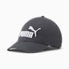PUMA #1 Relaxed Fit Adjustable Hat, Grey/White, small
