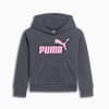Sudadera con capucha para niños pequeños con logotipo Core Pack No.1, GALACTIC GREY, small