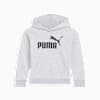 Sudadera con capucha para niños pequeños con logotipo Core Pack No.1, LIGHT HEATHER GREY, small