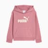 Sudadera con capucha para niños pequeños con logotipo Core Pack No.1, POISED PINK, small