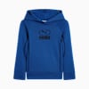 MOUNTAIN BLUE