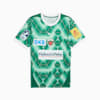 Füchse Berlin 24/25 Home Jersey Men, Power Green-Fresh Mint, small