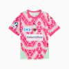 Füchse Berlin 24/25 Away Jersey Youth, Fresh Mint-PUMA Pink, small