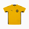 PUMA - FAM Harimau Malaya 2025 Jersey Youth, Cyber Yellow, small-SEA