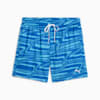 Swim Shorts Men, blue combo, small