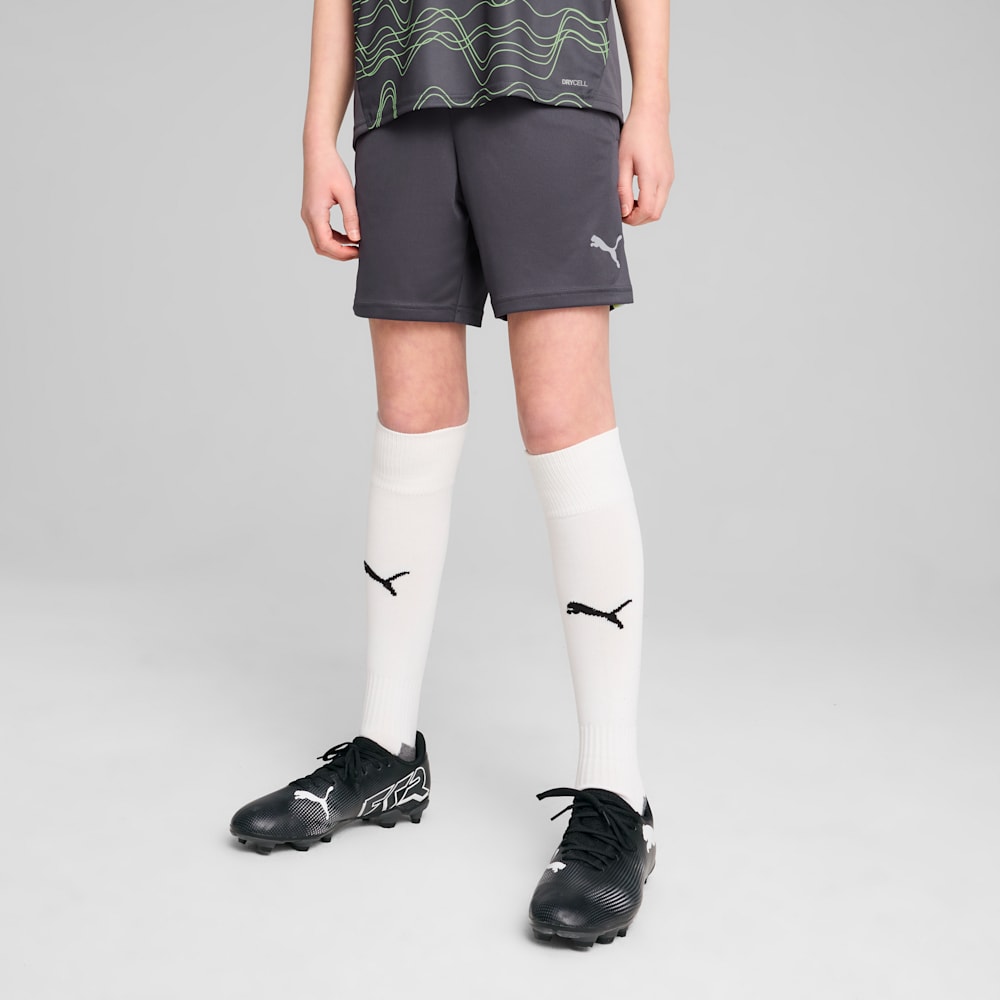 individualFINAL Training Shorts - Youth 8-16 years individualFINAL Training Shorts - Youth 8-16 years