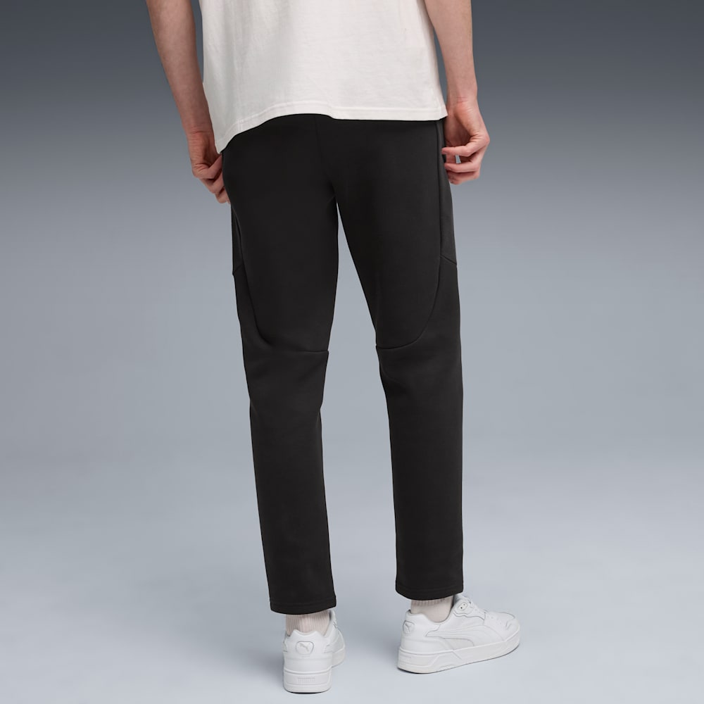 Evostripe Men's Pants