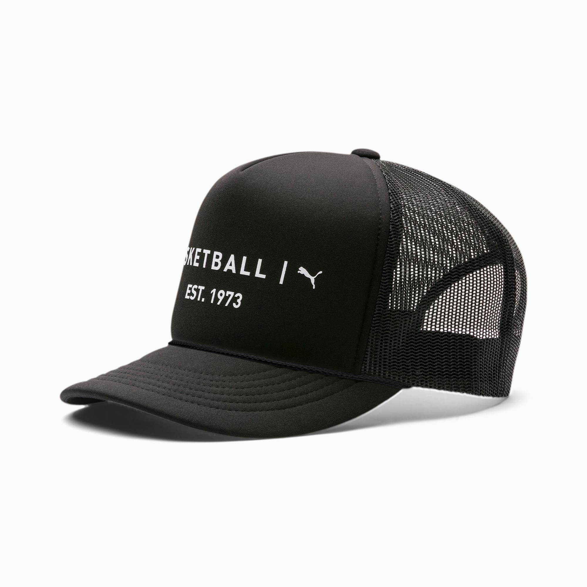 puma flat cap
