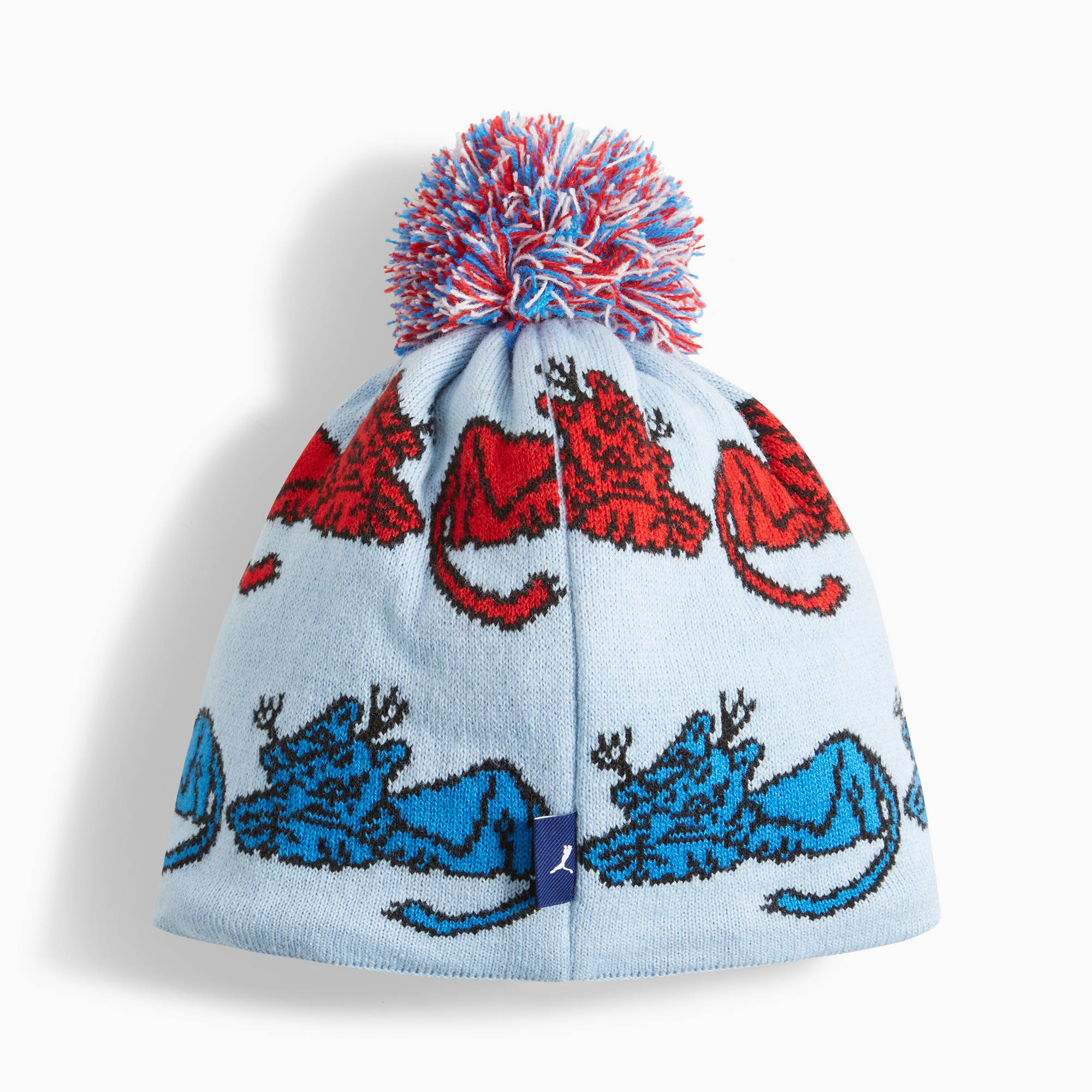 PUMA x NOAH Ski Beanie | PUMA