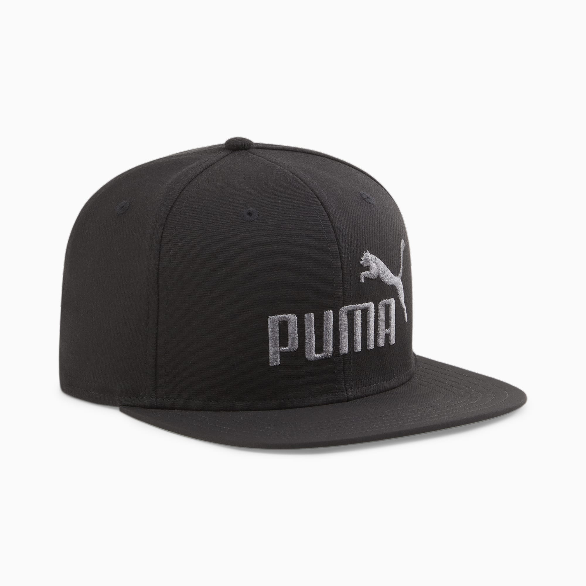 Puma on sale flat bill