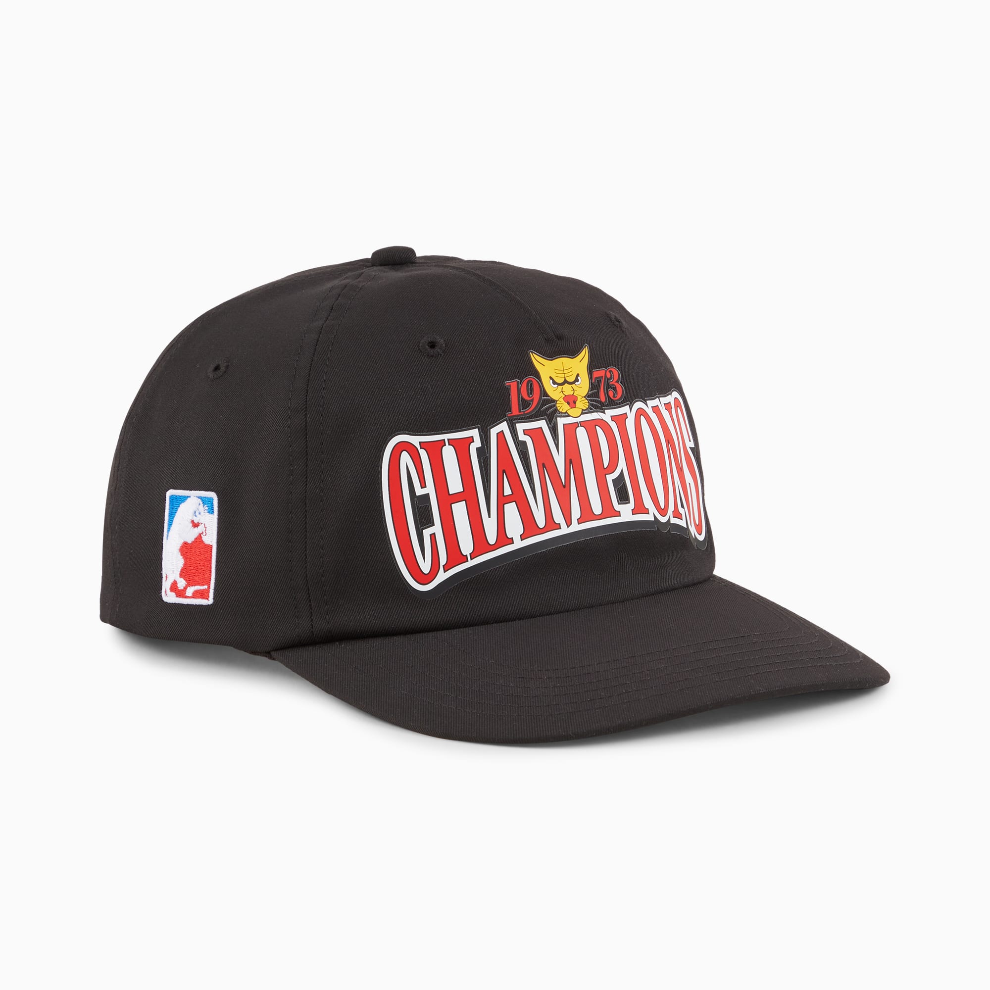 Basketball LC pet, PUMA Black, large