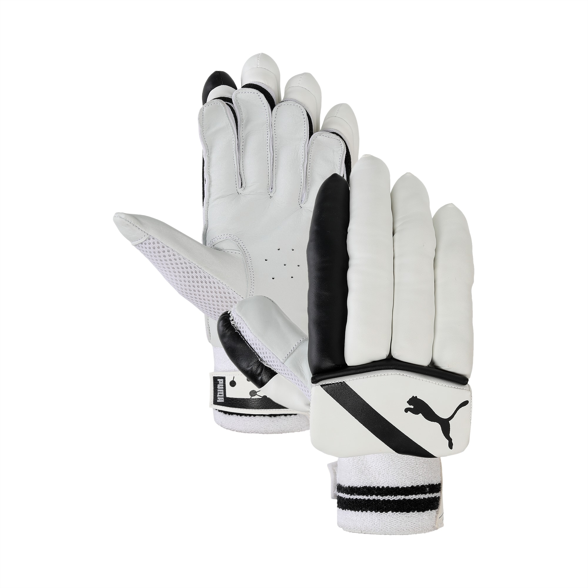 Puma sale gloves cricket