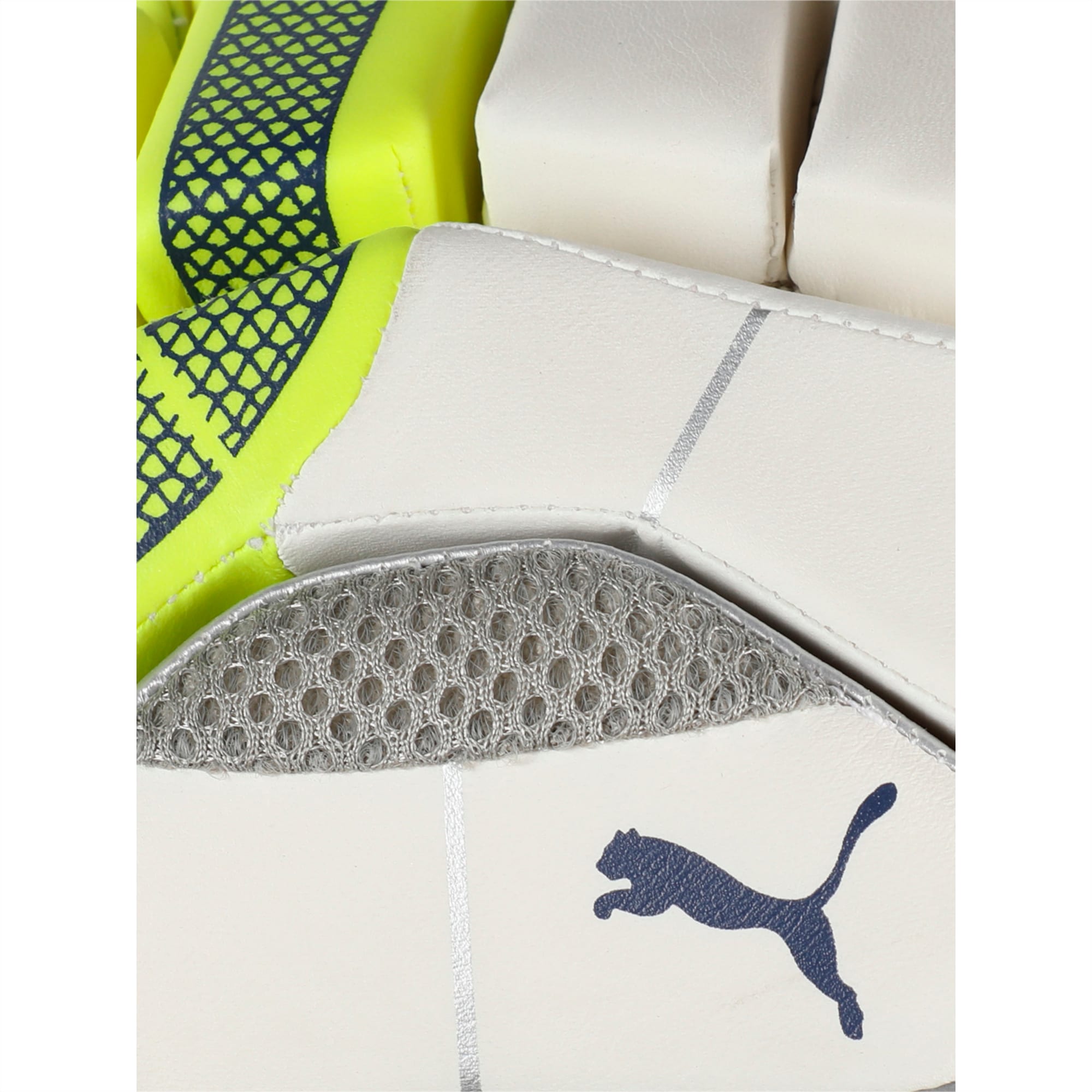 Puma evo 4 batting gloves 2025