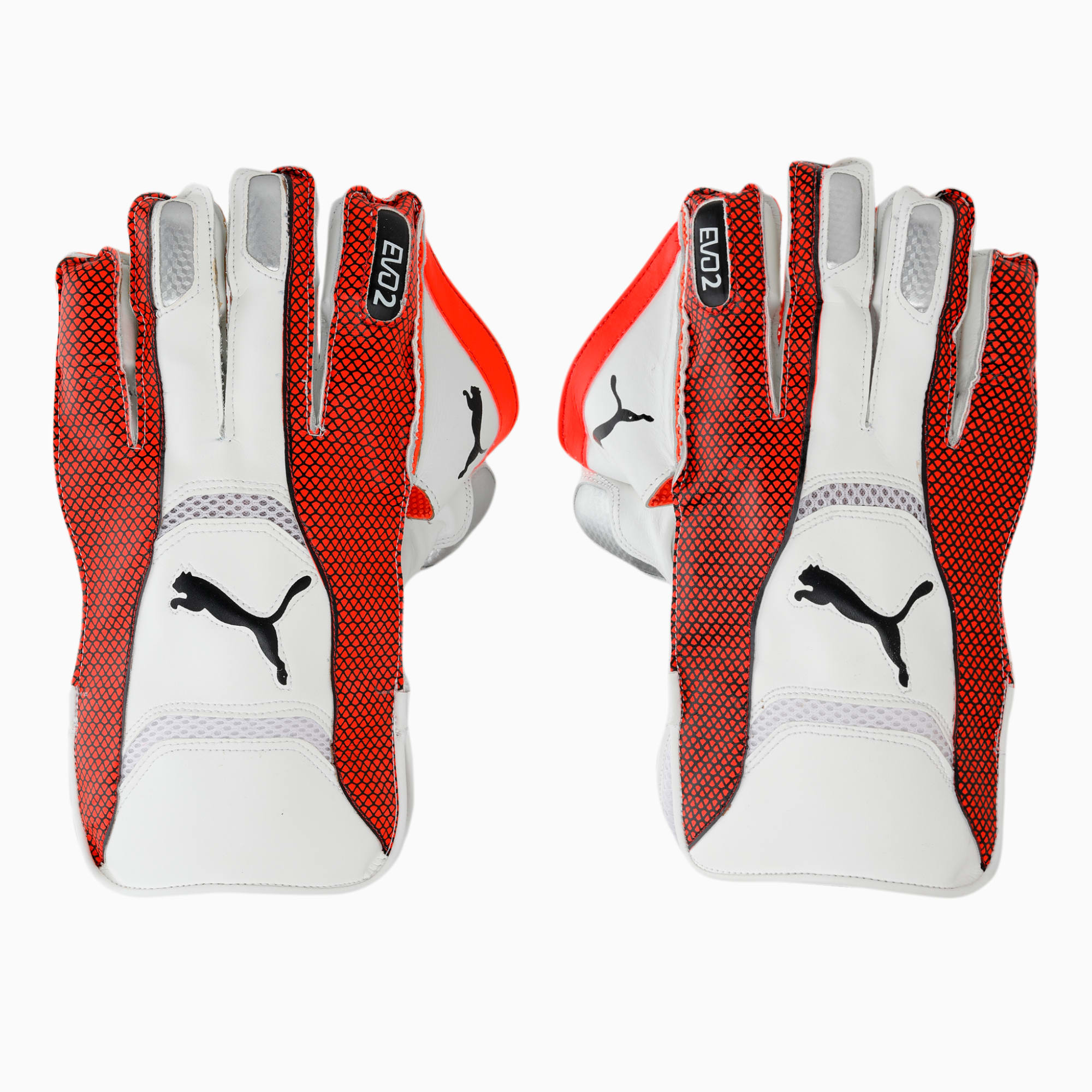 EVO 2 Unisex Wicket Keeper Glove | PUMA